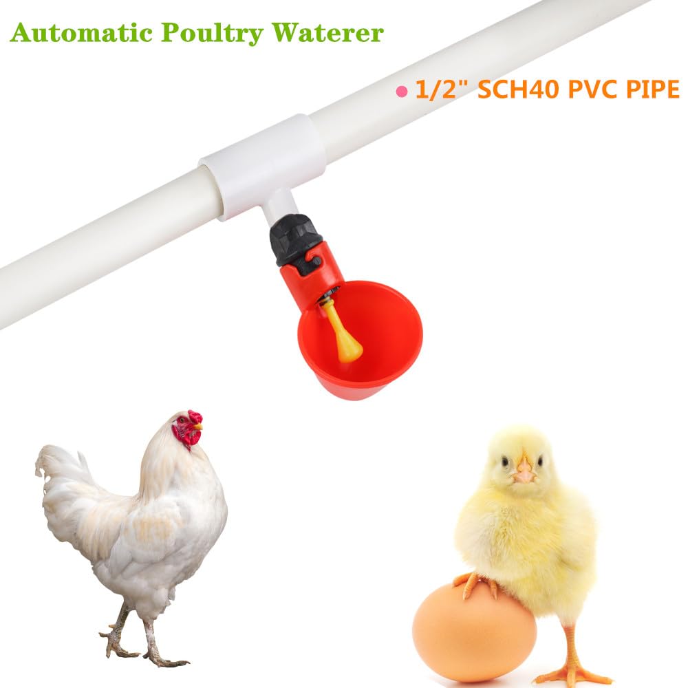 12 Pack Automatic Plastic Chicken Waterer Cups M932
