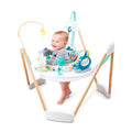 Exersaucer Wood Frame Jumper W958