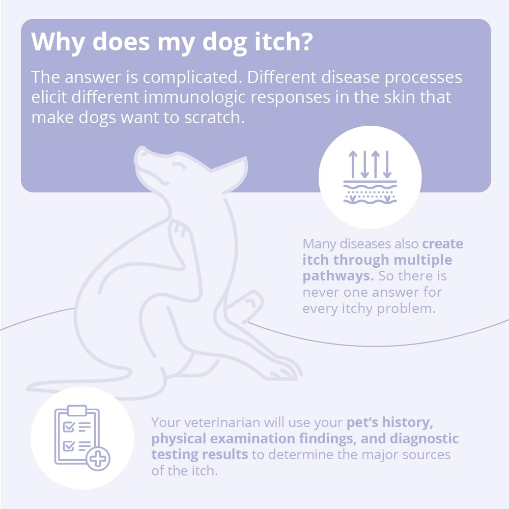 8 oz Spray Conditioner for Dogs, Cats and Horses T531694