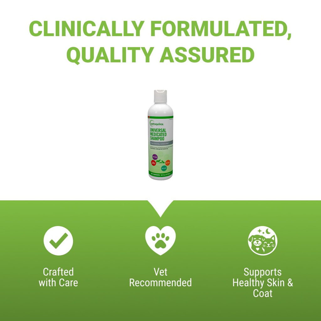 Medicated Sulfur Shampoo for Pets, 16 oz T200575