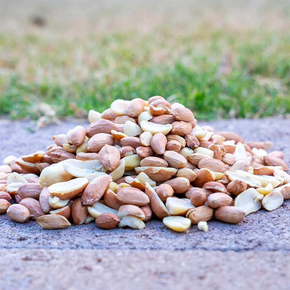 10 Pound Peanuts P452330