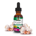 Garlic Bulb 1-Fluid Ounce S73122
