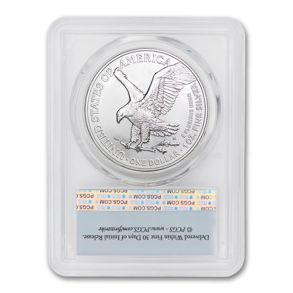 1 oz American Silver Eagle Coin MS-70 X82072