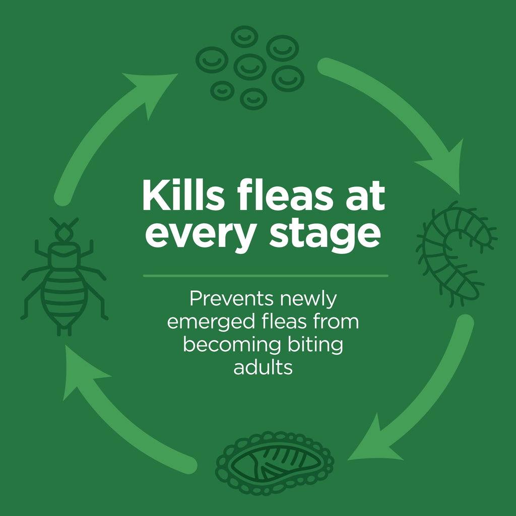 Flea and Tick Topical for Cats 3 Dose Y21594