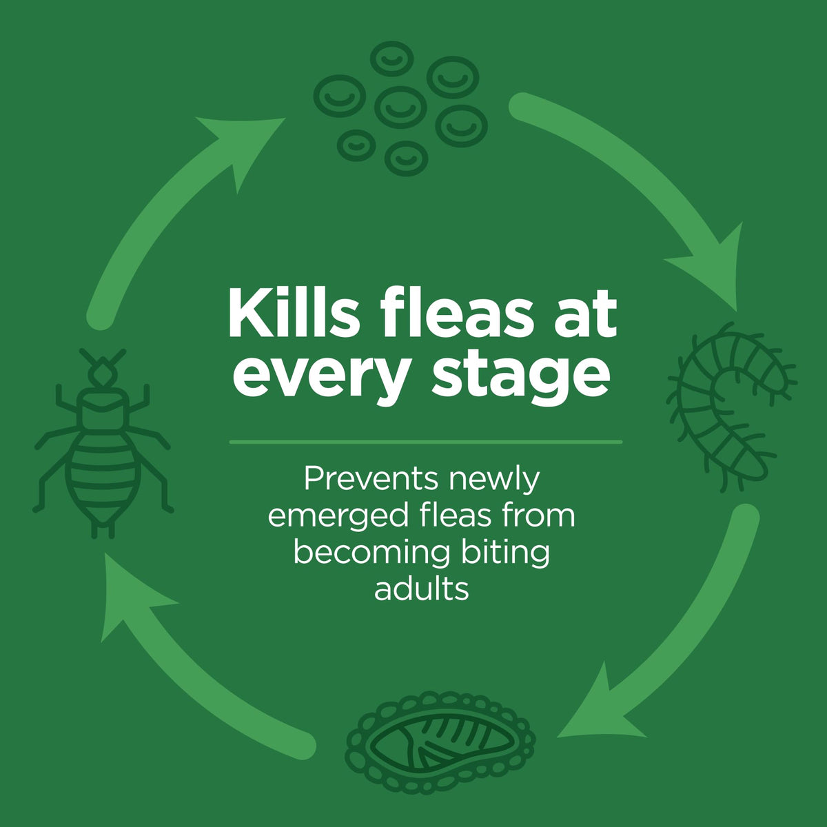Flea and Tick Topical for Cats 3 Dose Y21594