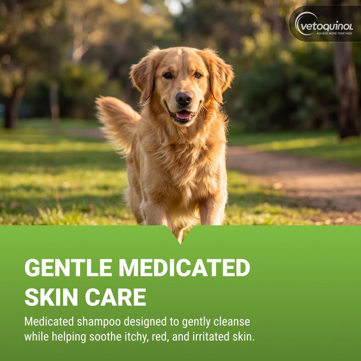 Medicated Sulfur Shampoo for Pets, 16 oz T200575