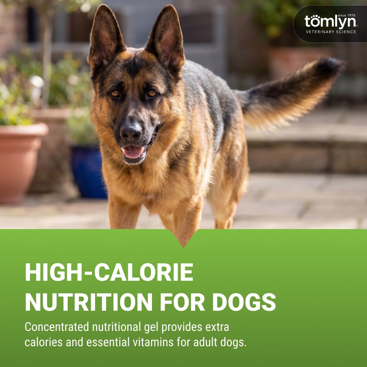 Malt-Flavored High-Calorie Nutritional Gel for Dogs, 4.25oz P969