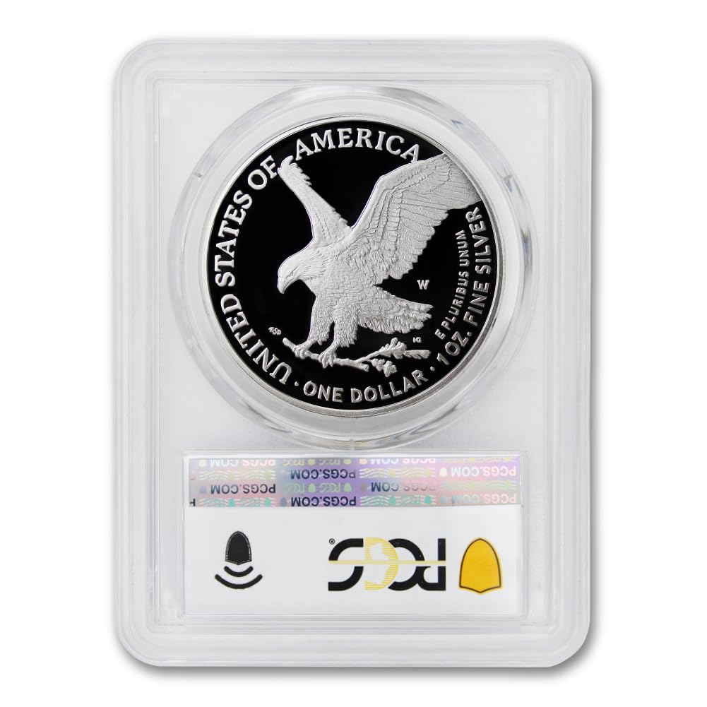 1 oz American Silver Eagle Proof K54557