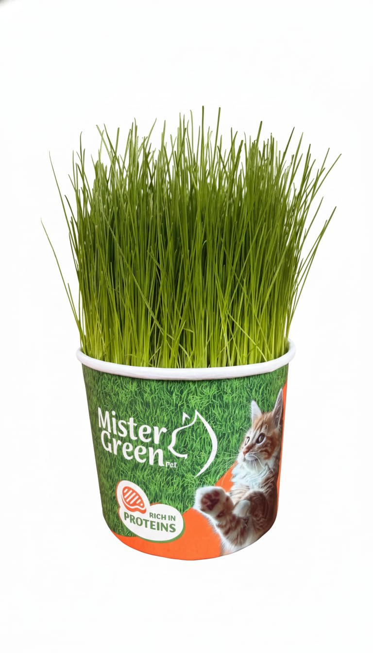 Cat Grass Grow Kit Z540