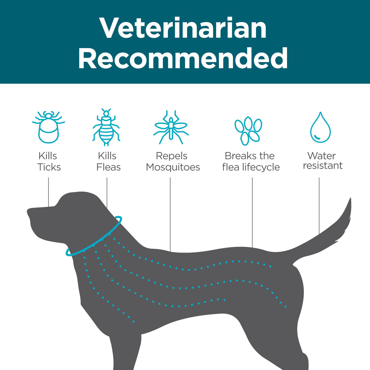 Flea and Tick Collar for Small Dogs J527918