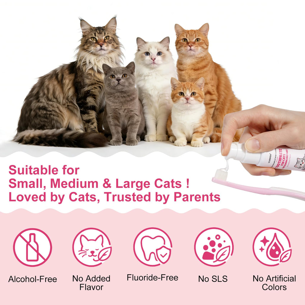Cat Toothbrush and Toothpaste Dental Care Kit L4203