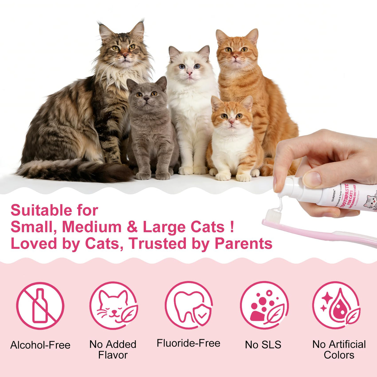 Cat Toothbrush and Toothpaste Dental Care Kit L4203