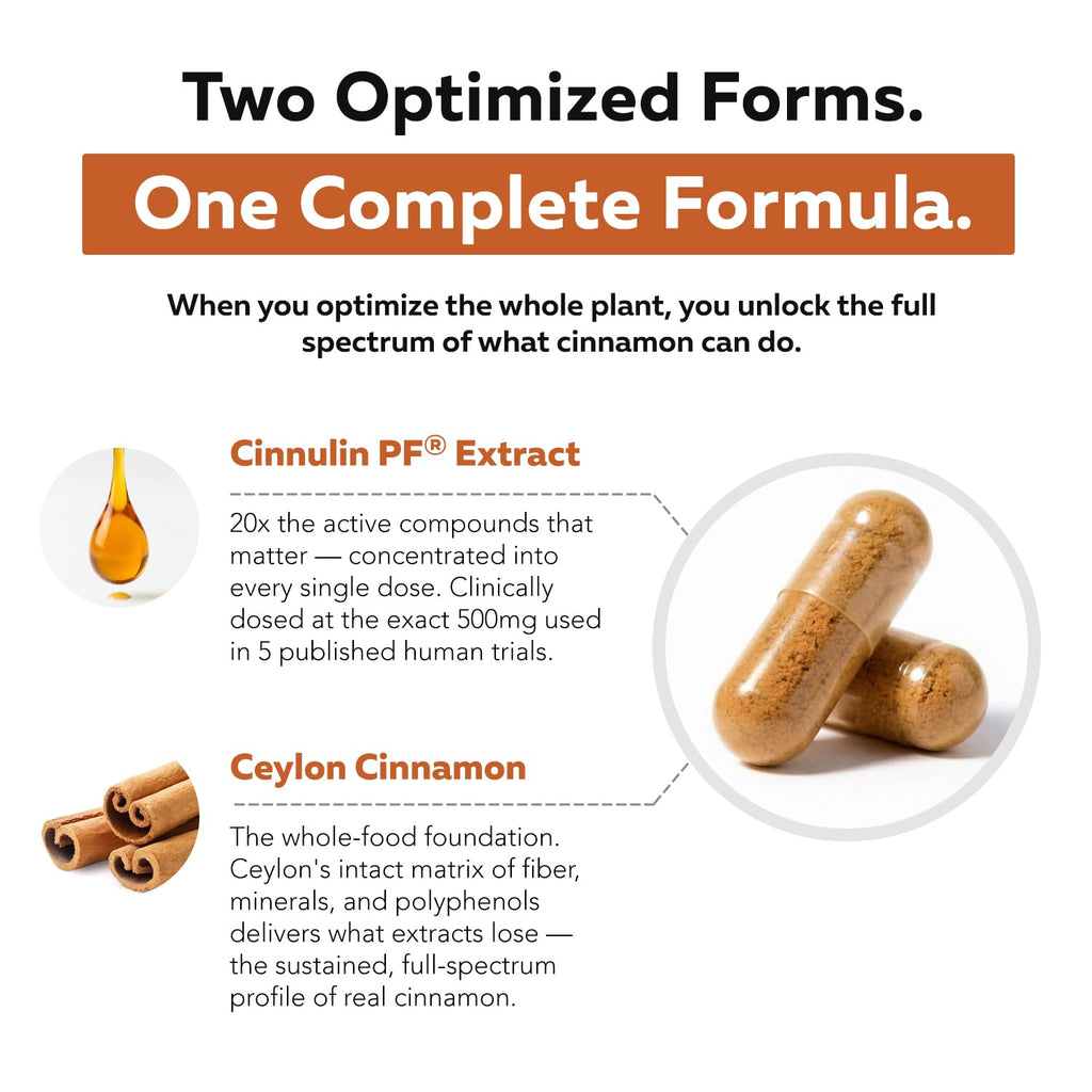 Cinnamon 1000mg Extract 60 Vegan Capsules L484052
