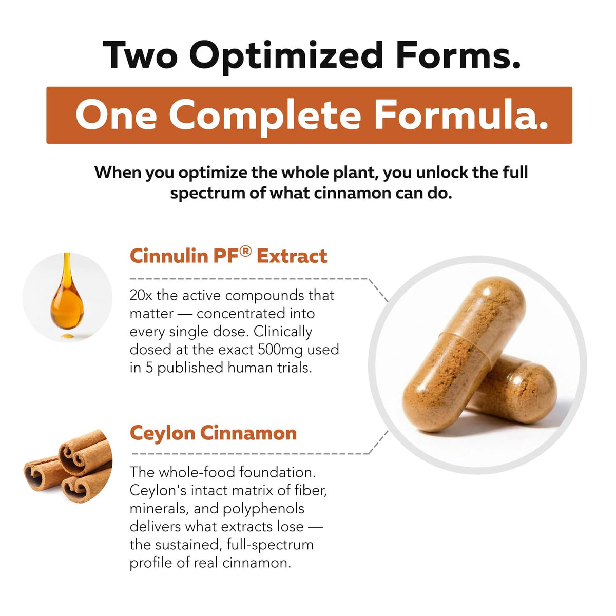Cinnamon 1000mg Extract 60 Vegan Capsules L484052
