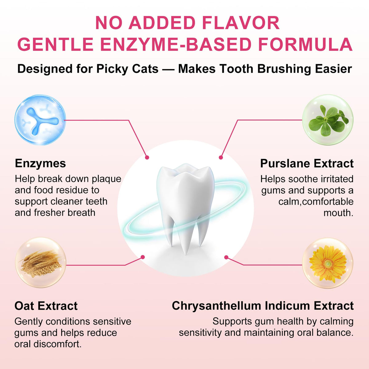 Cat Toothbrush and Toothpaste Dental Care Kit L4203