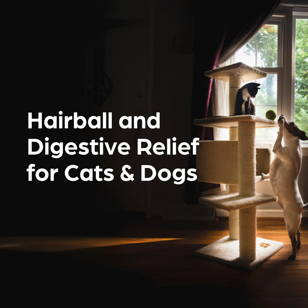 Laxative and Lubricant for Dogs and Cats 3 oz I704