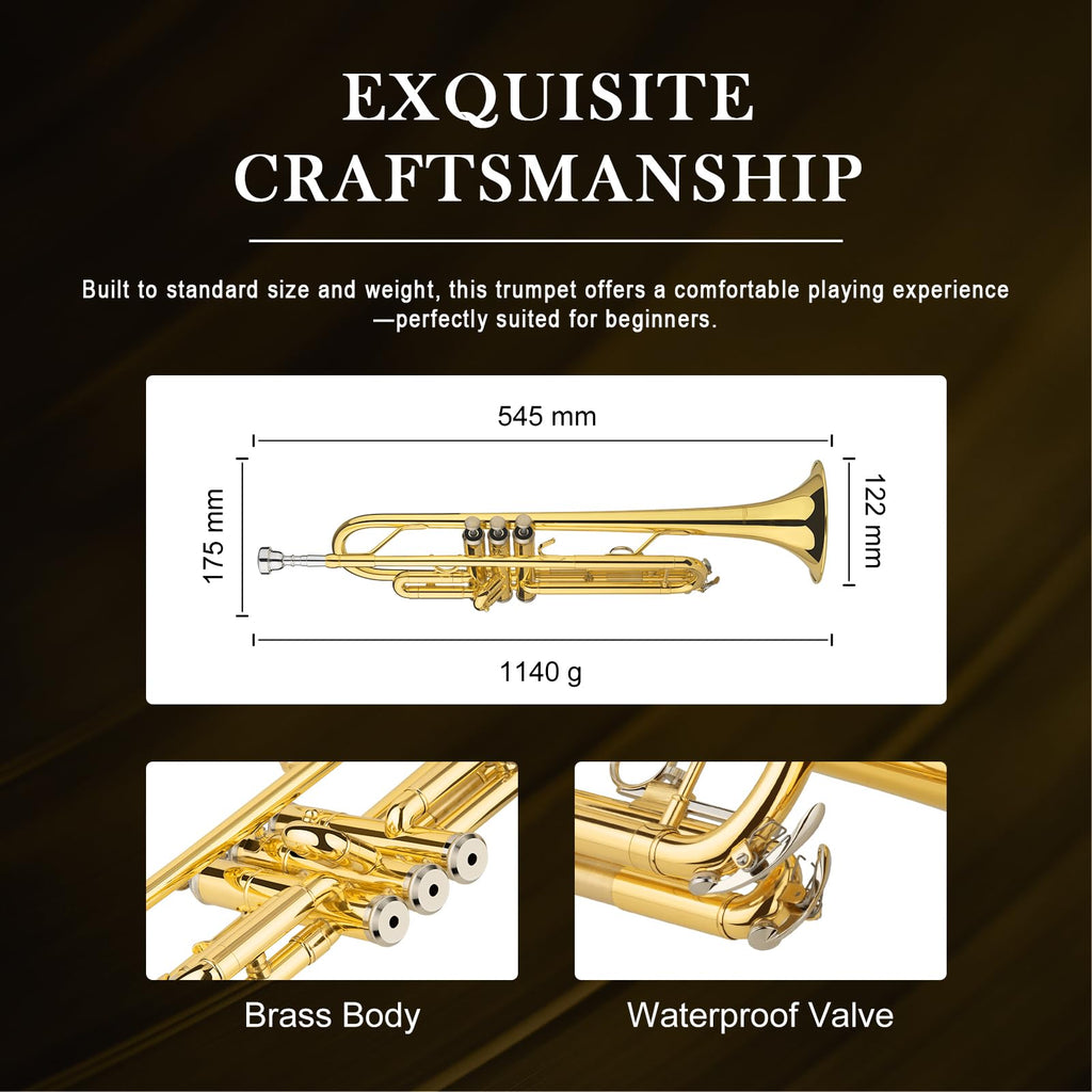 Standard Trumpet Set N44641