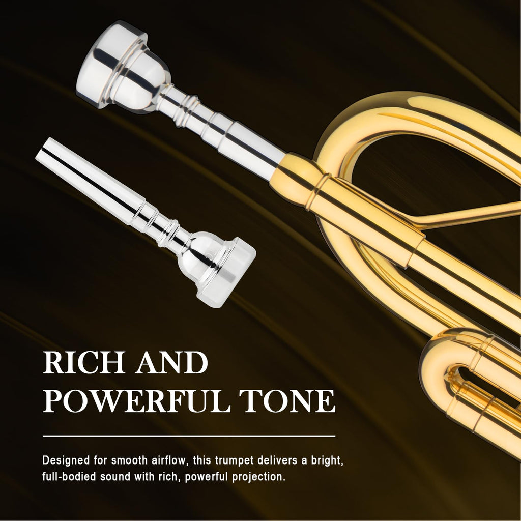 Standard Trumpet Set N44641