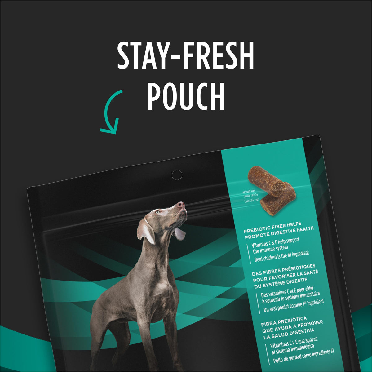 Dog Treats 16 oz G285