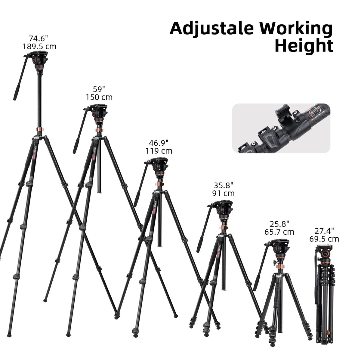 Carbon Fiber 4-Section Tripod D26736