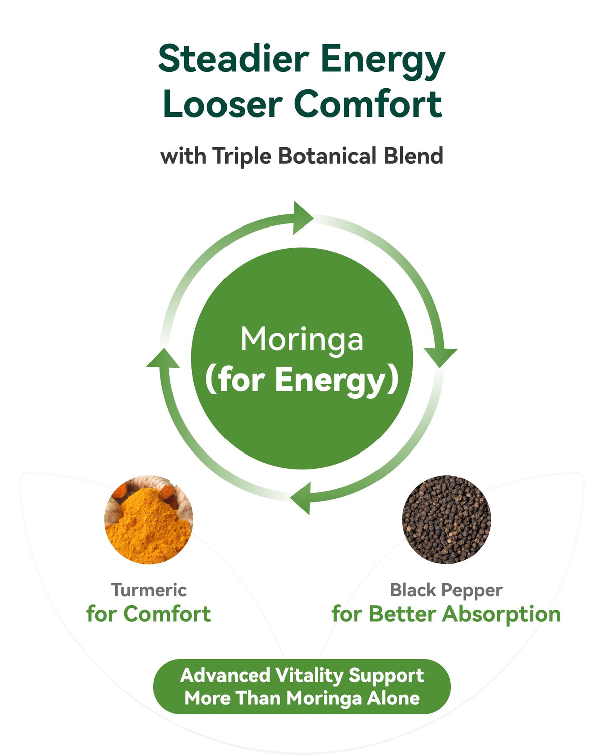 Moringa Capsules 1000mg 10:1 Moringa Leaf Extract 60 Count V383