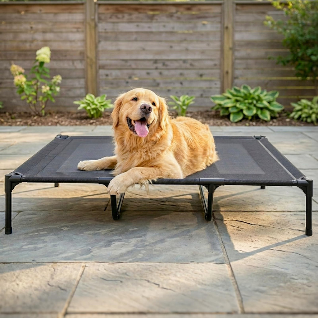 Elevated Dog Bed with Metal Frame, X-Large Grey R6544