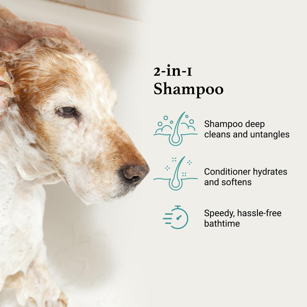 Dog Shampoo + Conditioner B68311