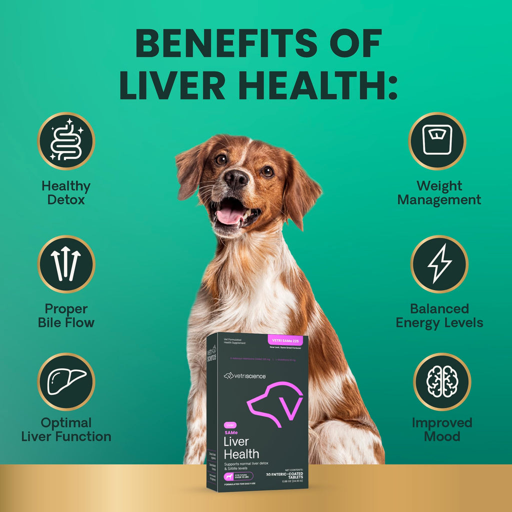 Liver Health Tablets for Dogs 30 Count V368543