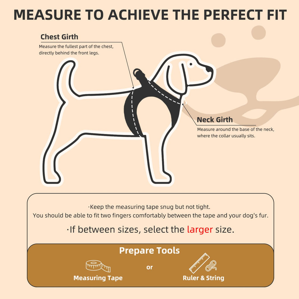 Dog Harness, Collar and Leash Set S182347