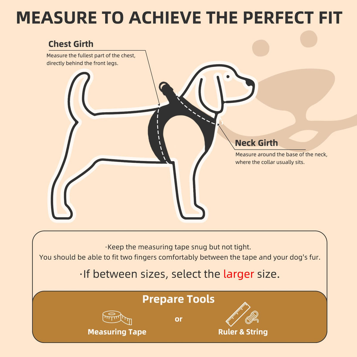 Dog Harness, Collar and Leash Set S182347