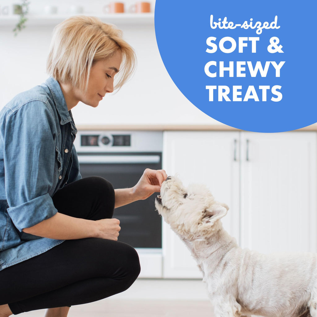 Soft & Chewy Bacon Dog Treats 10 oz N6465