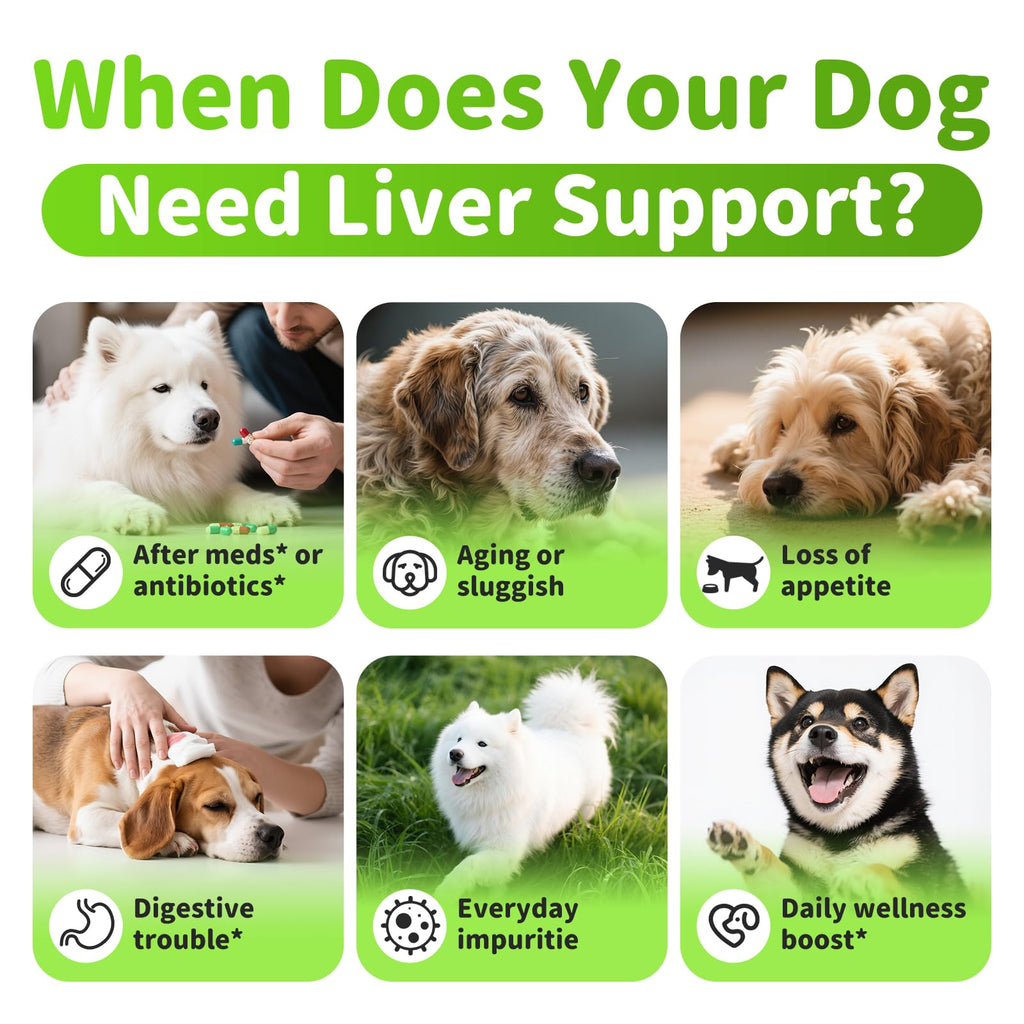 Dog Liver Support Chews with Milk Thistle A747