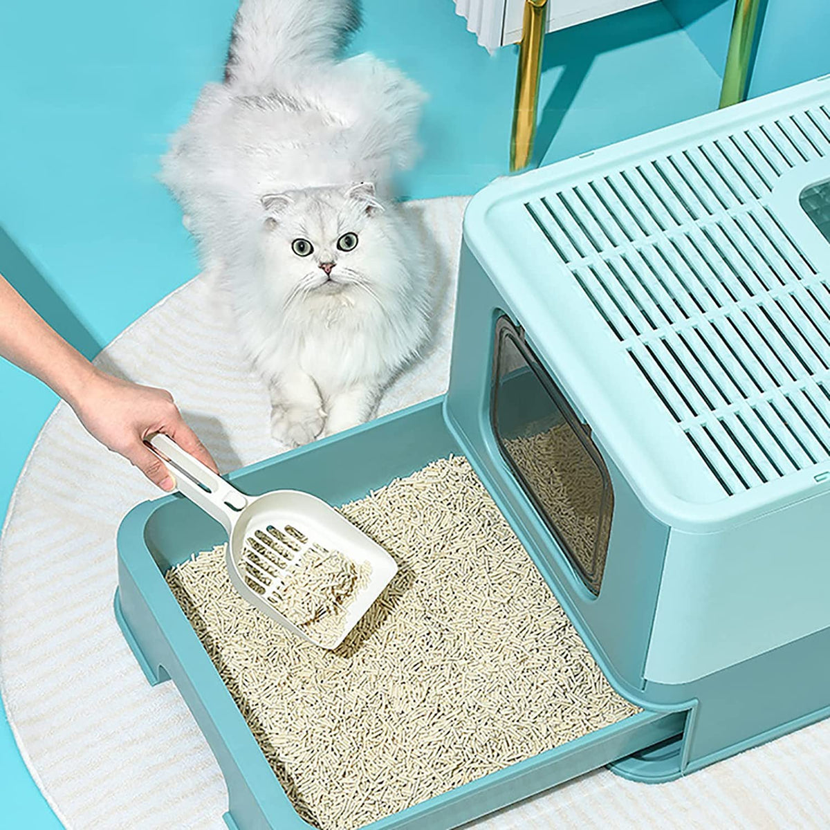Foldable Large Top Entry Anti-Splashing Cat Litter Box with Lid and Scoop M93551