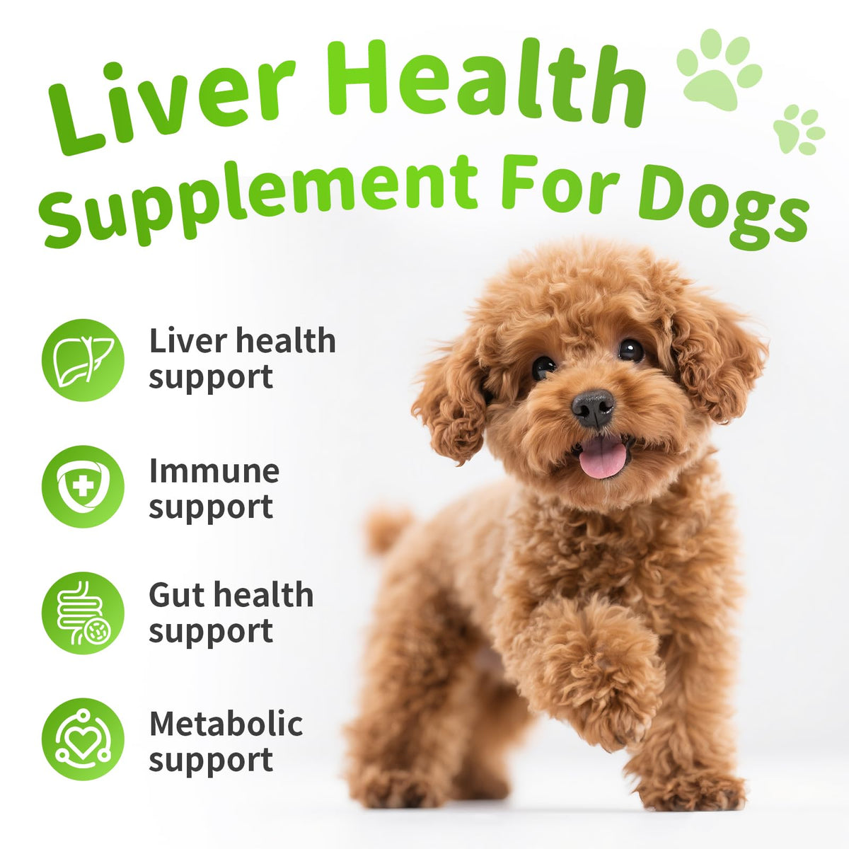 Dog Liver Support Chews with Milk Thistle A747