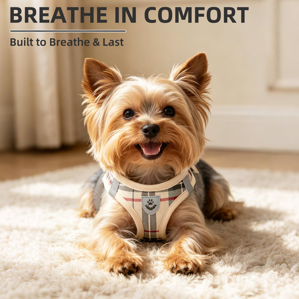 Dog Harness, Collar and Leash Set S182347