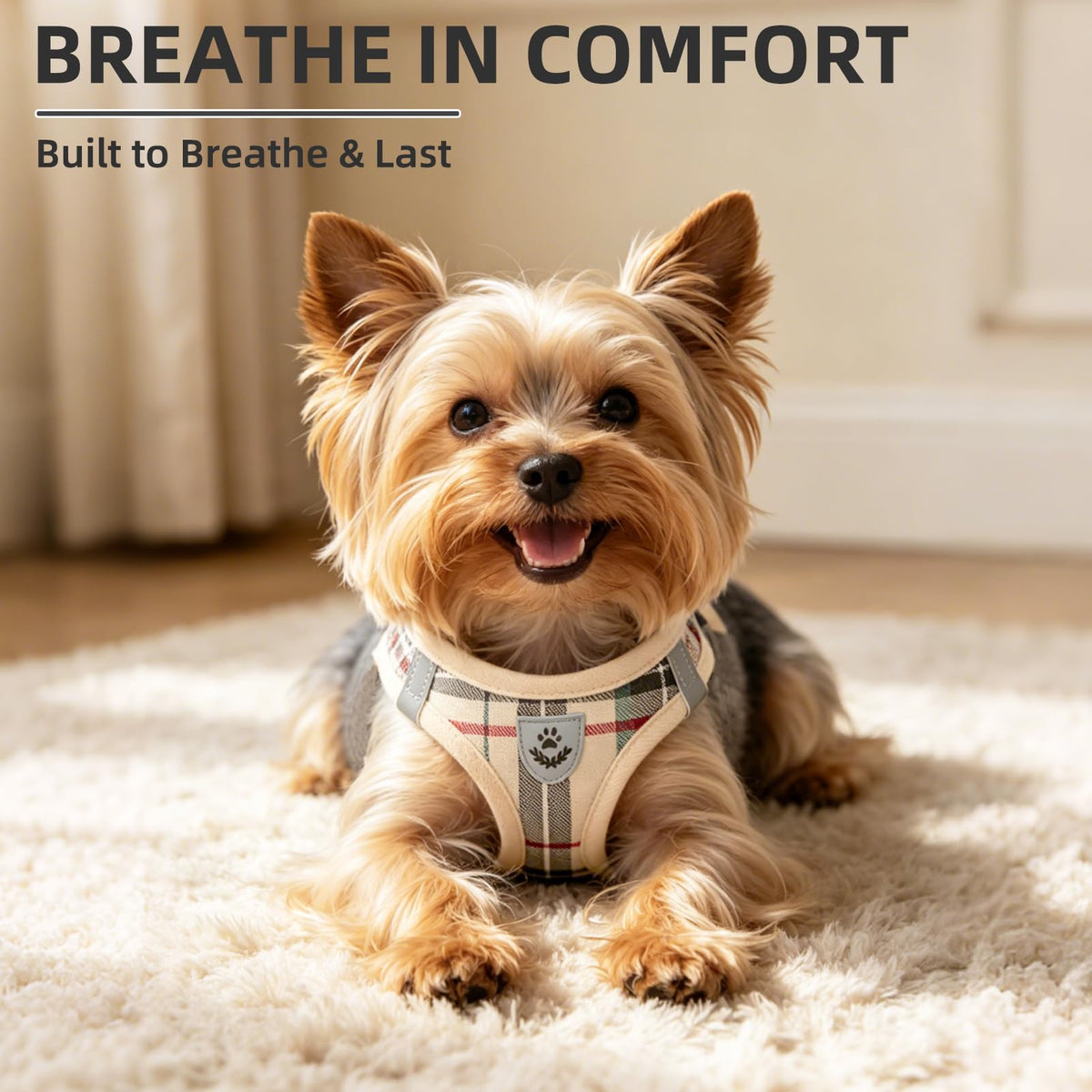 Dog Harness, Collar and Leash Set S182347