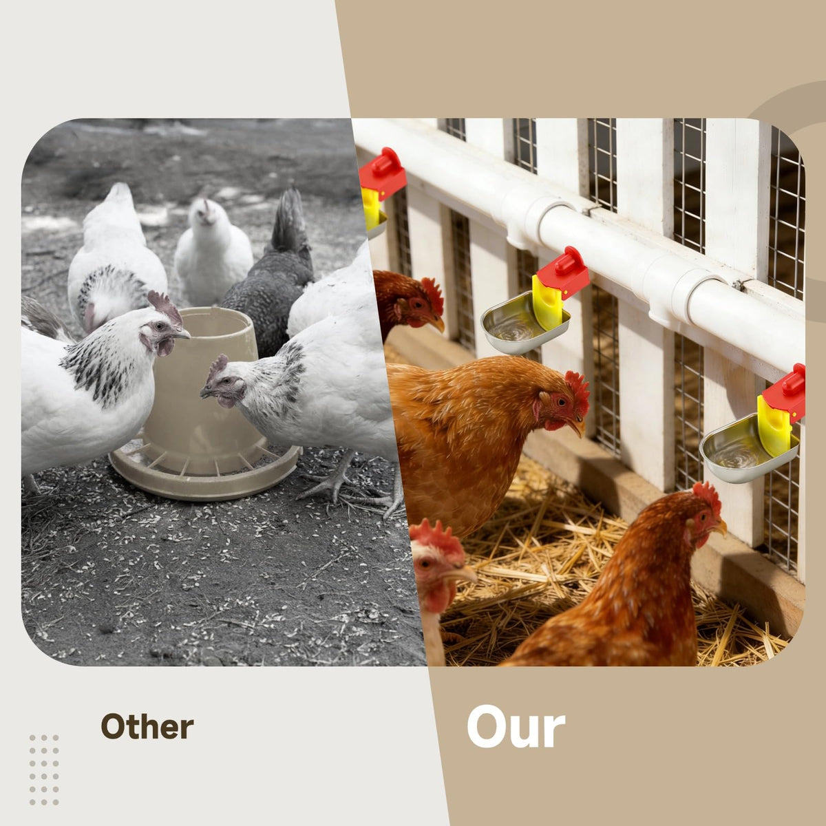 12 Pcs Stainless Self-Filling Chicken Water Cups Z786