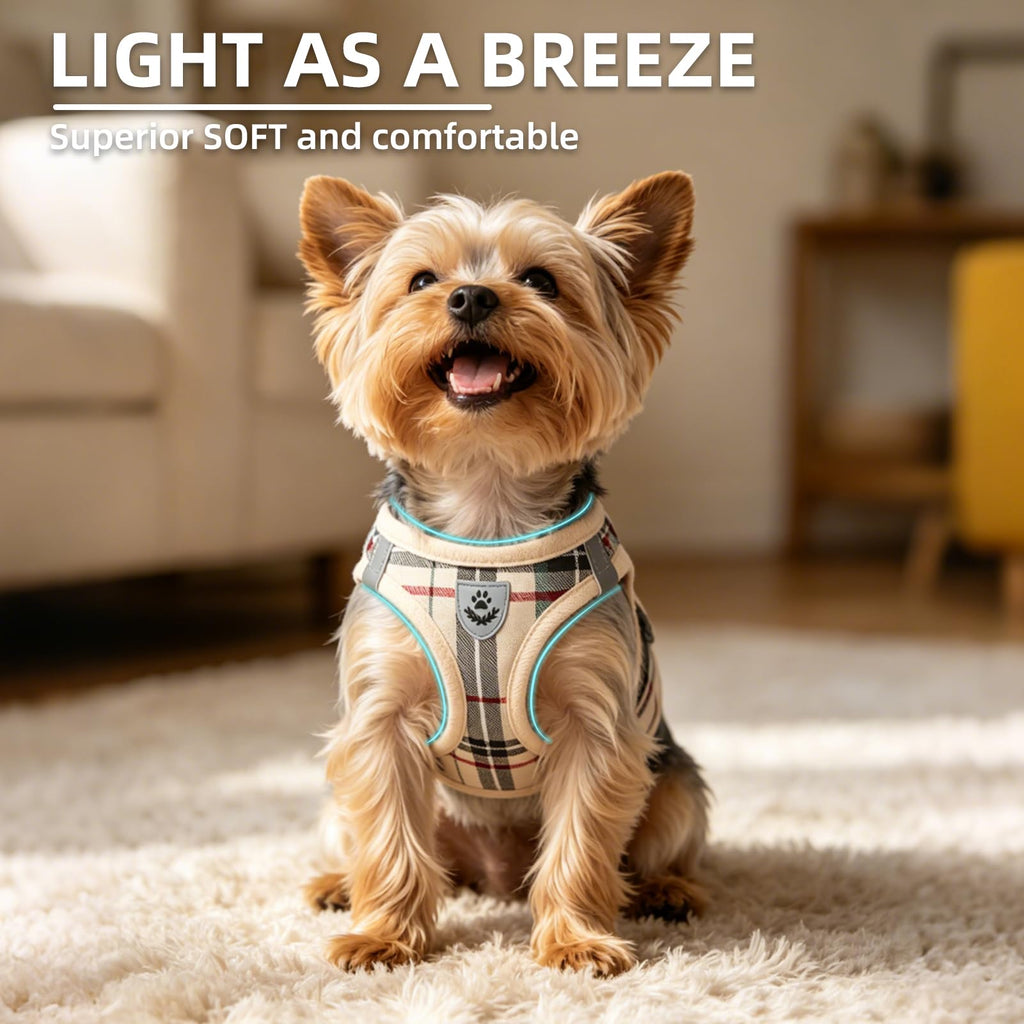 Dog Harness, Collar and Leash Set S182347