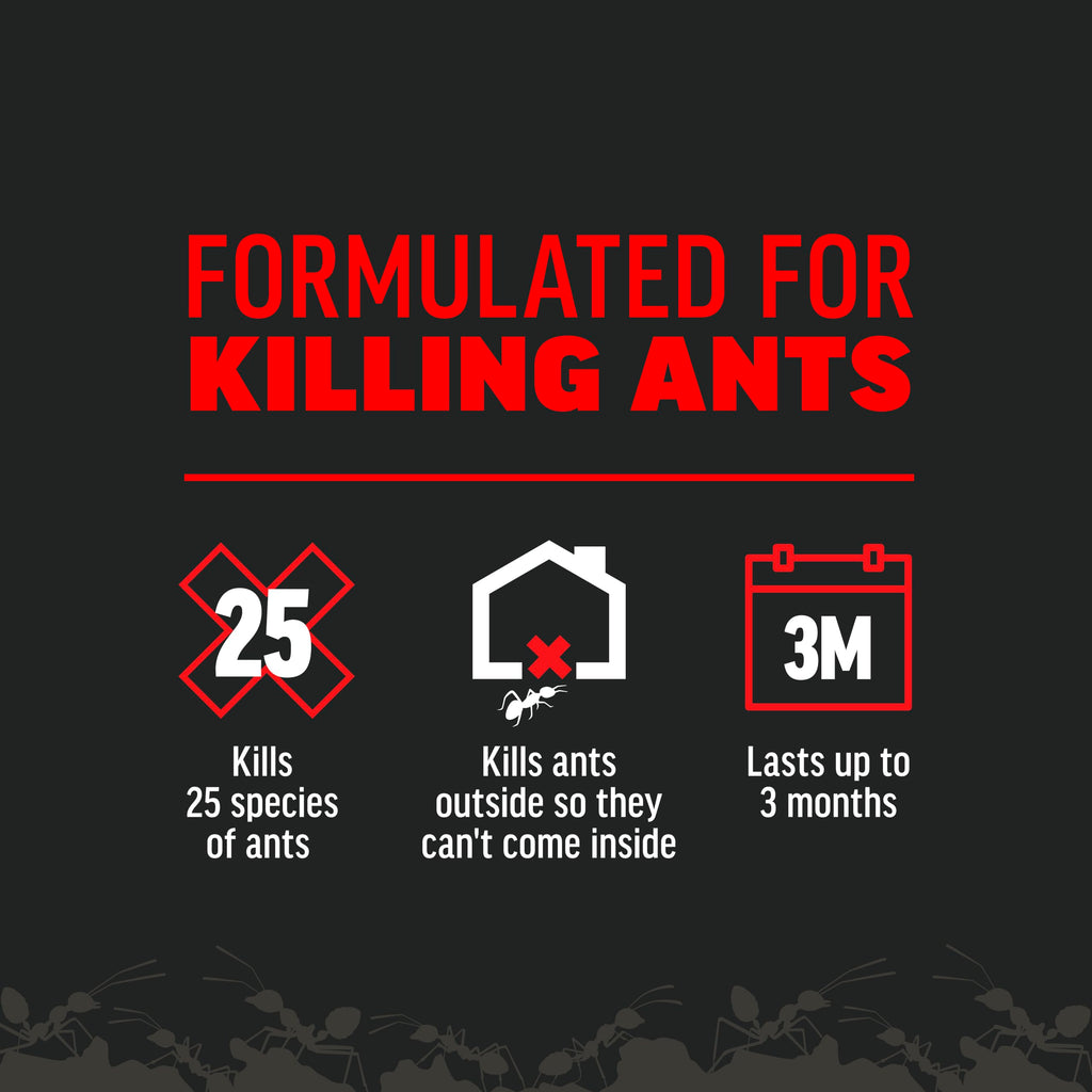 Ant Killer 12 Oz N4815