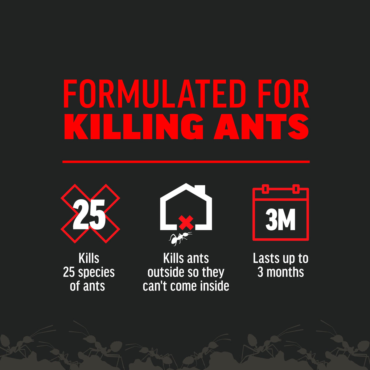 Ant Killer 12 Oz N4815