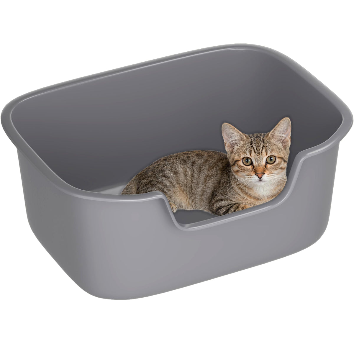 Large High Sides Cat Litter Box D532