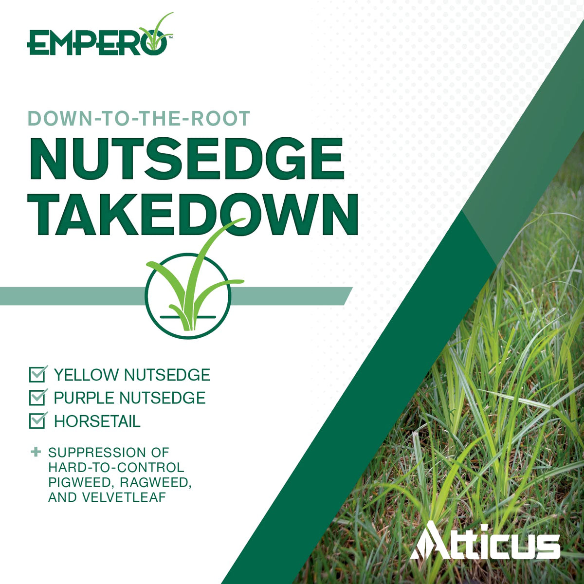 Nutsedge Killer Herbicide Concentrate R47626