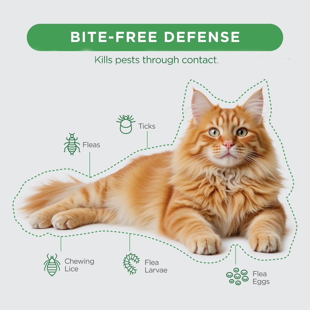 Flea and Tick Topical for Cats 3 Dose Y21594