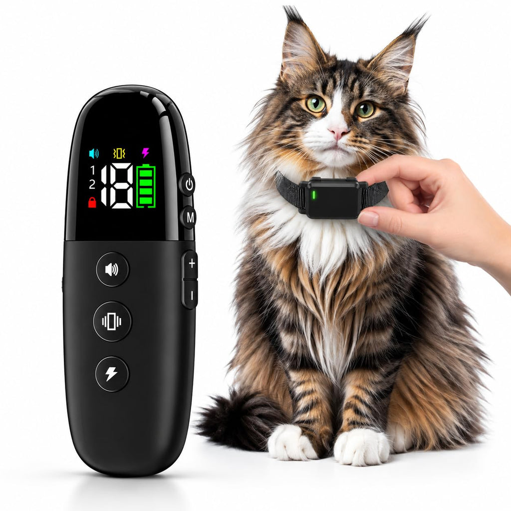 Cat Shock Collar with Remote C85070