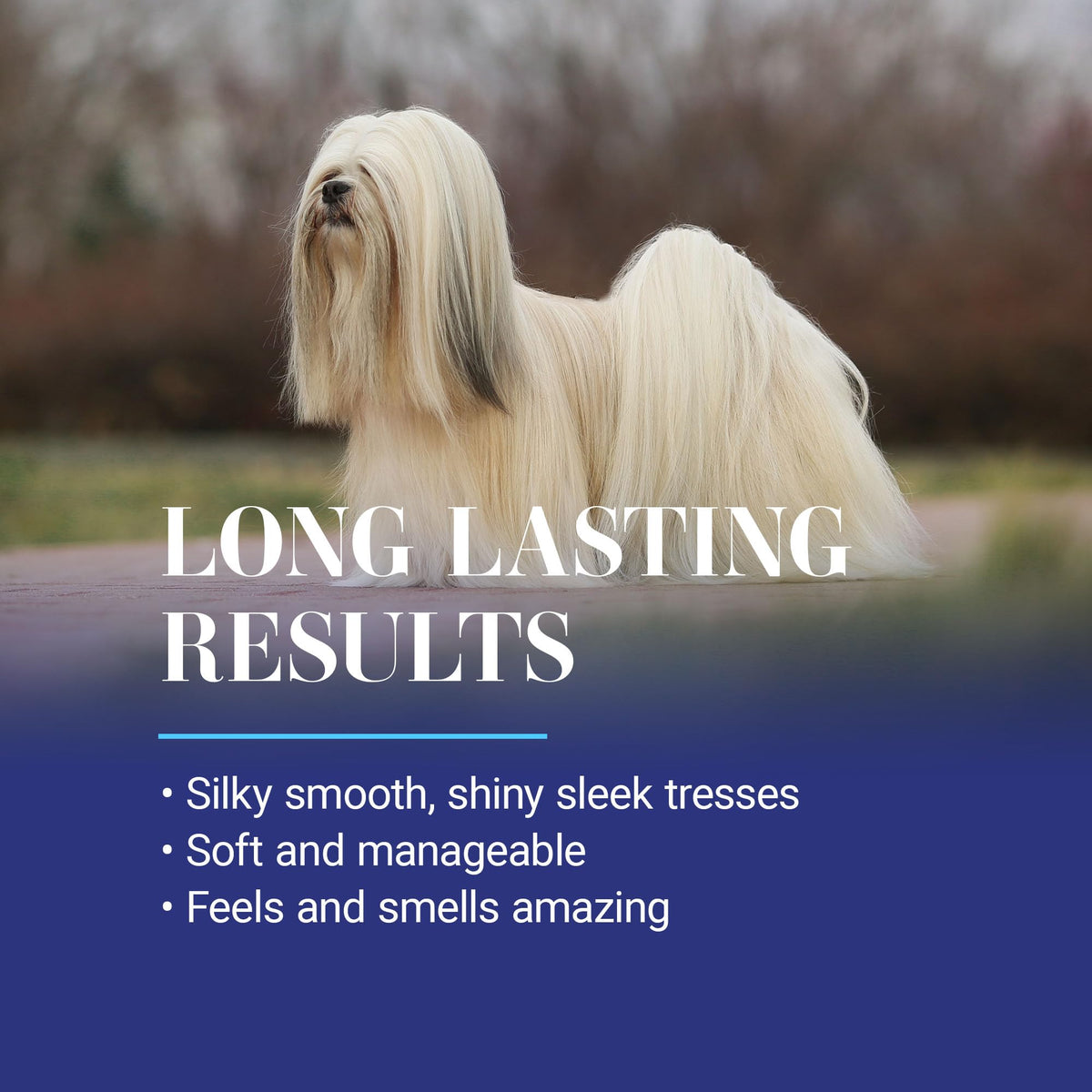 16 oz Detangling Shampoo Conditioner and Finishing Spray O400