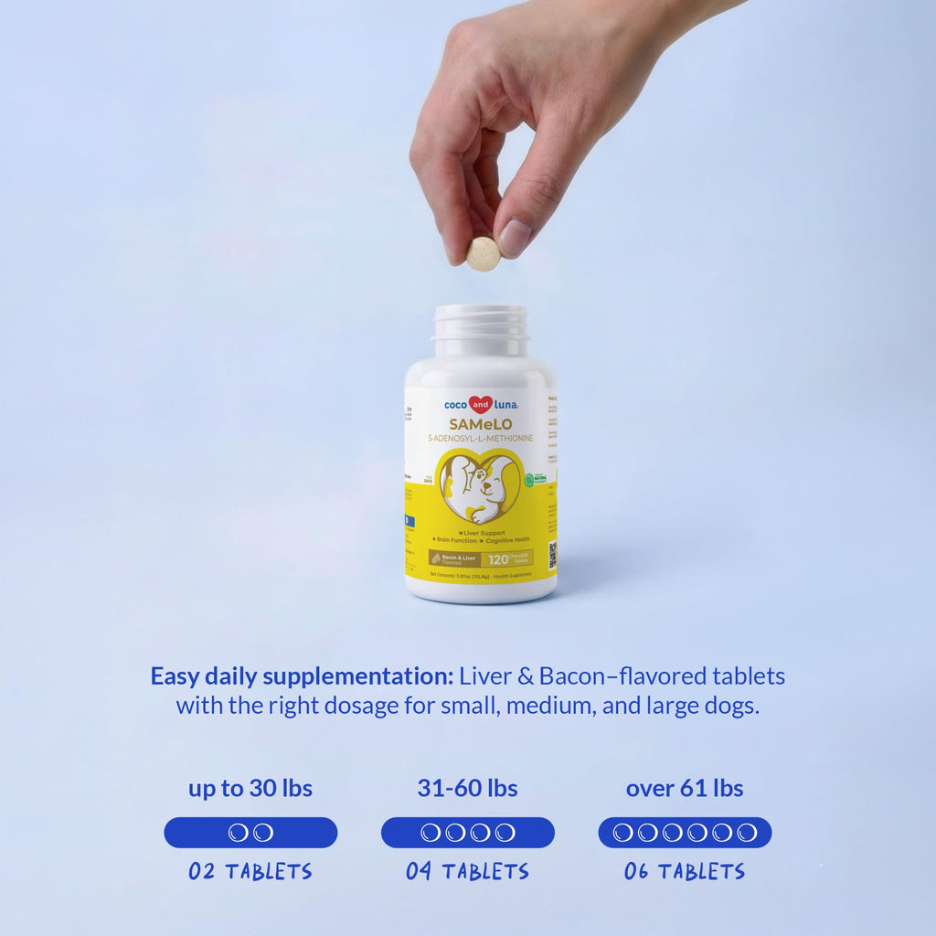 120 Tablets Liver Supplement I1475