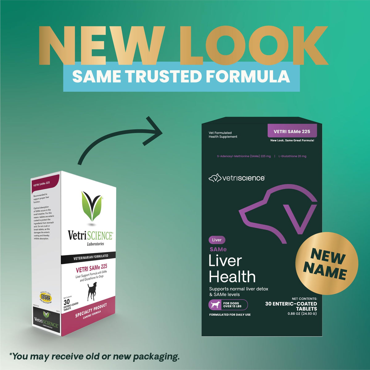 Liver Health Tablets for Dogs 30 Count V368543