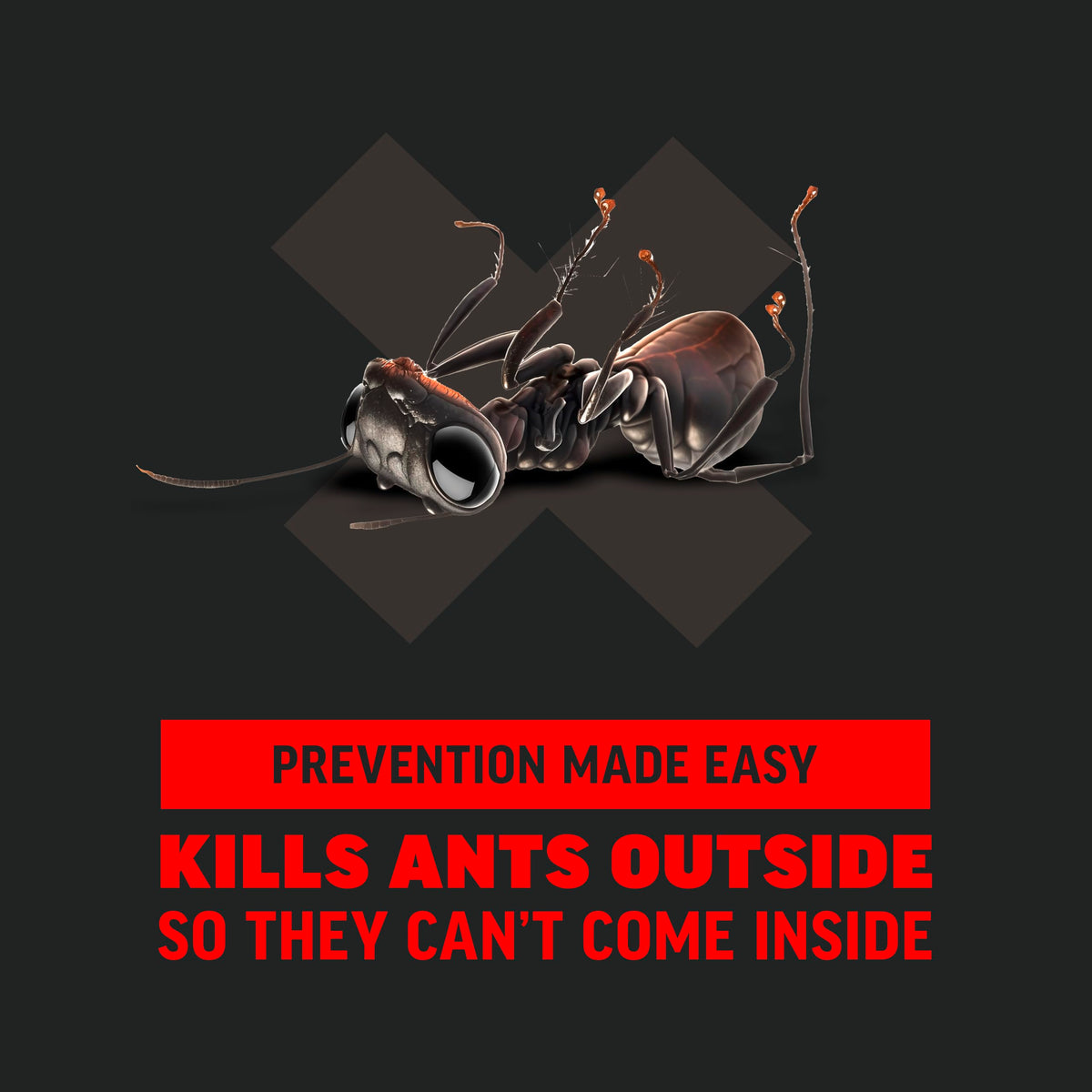 Ant Killer 12 Oz N4815