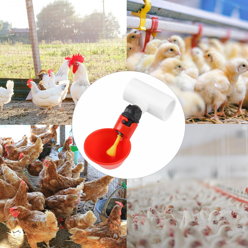12 Pack Automatic Plastic Chicken Waterer Cups M932