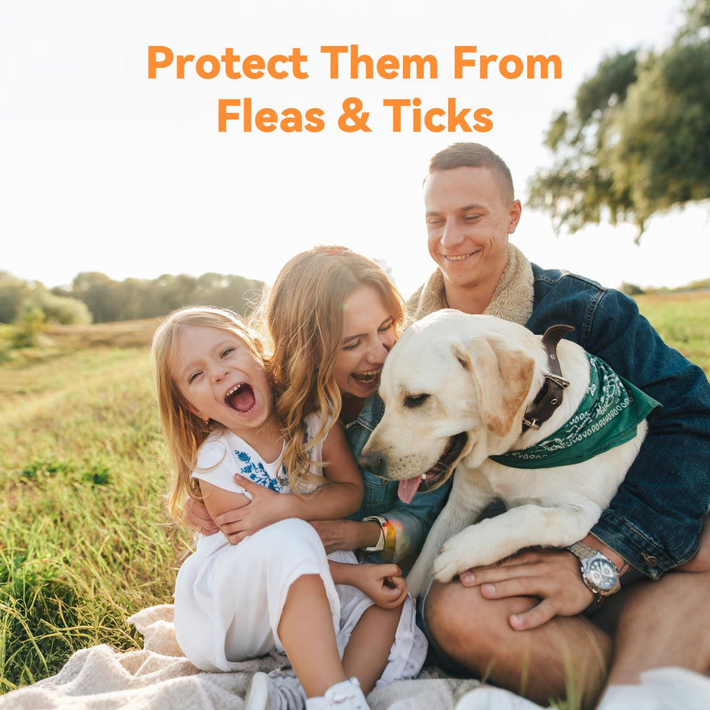 Flea and Tick Prevention for Small Dogs & Puppies, 3 Monthly Doses J851551